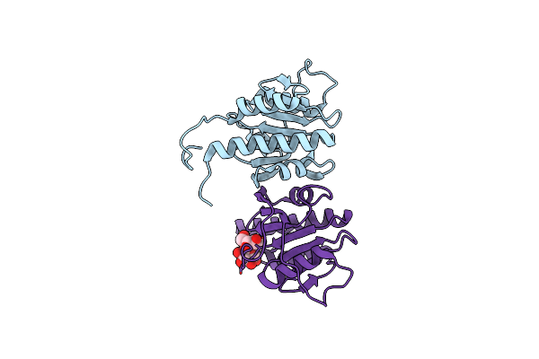 6HVM image