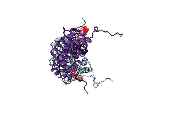 6HXM image