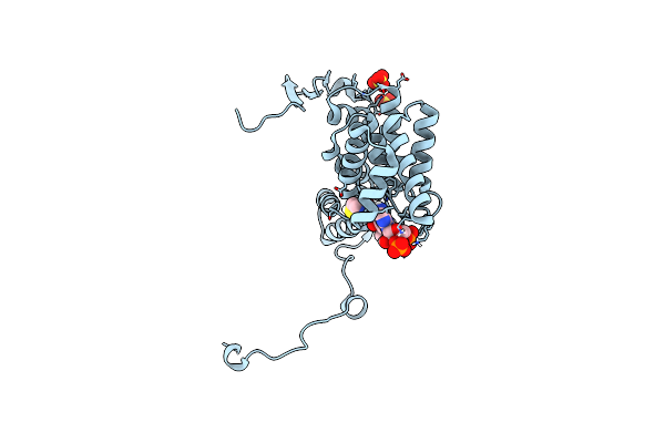 6HXP image