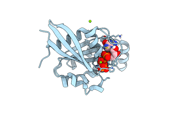 6HXU image