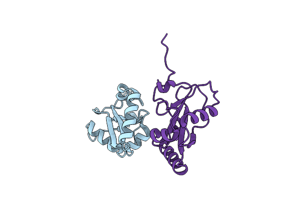6HYL image