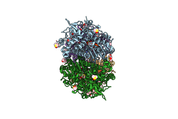 6HYS image