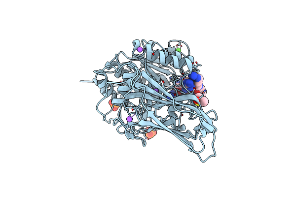 6HZA image