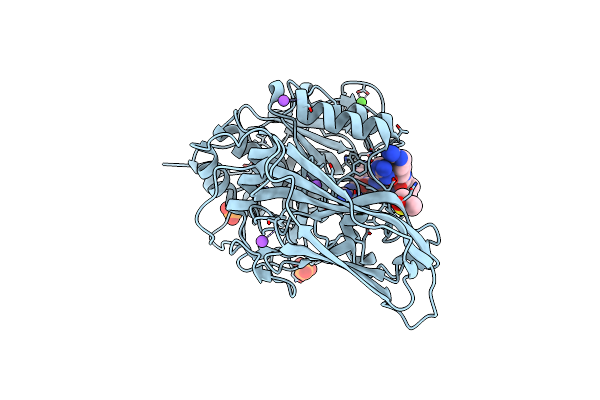 6HZB image