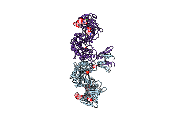 6HZZ image