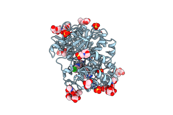 6I0B image