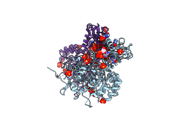 6I0O image