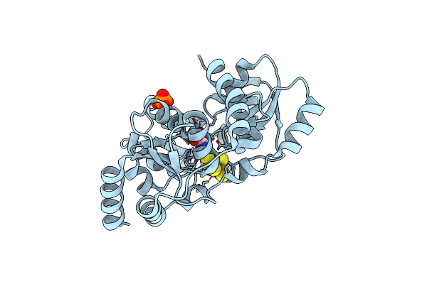 6I0P image