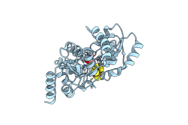 6I0R image