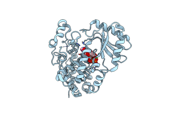 6I0S image