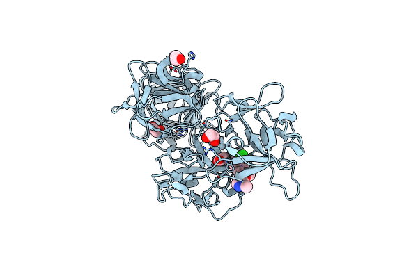 6I13 image