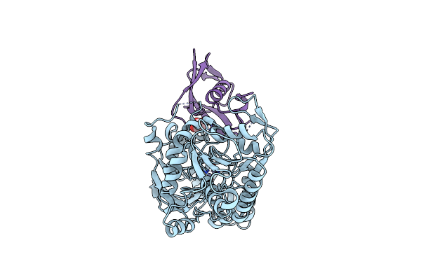 6I1D image