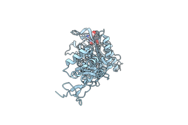 6I1E image