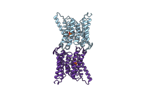 6I1R image