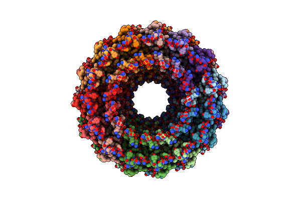 6I1X image