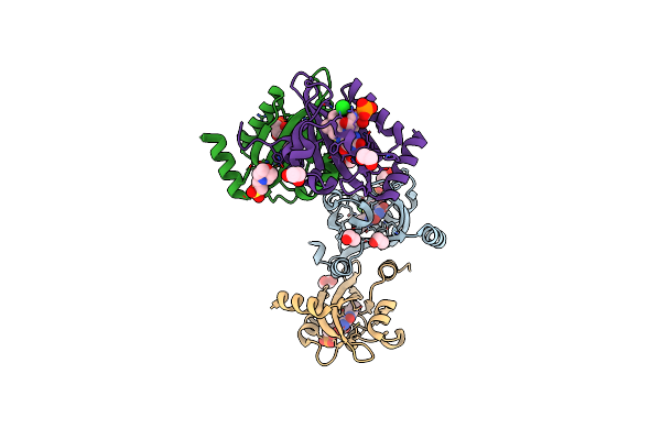 6I20 image