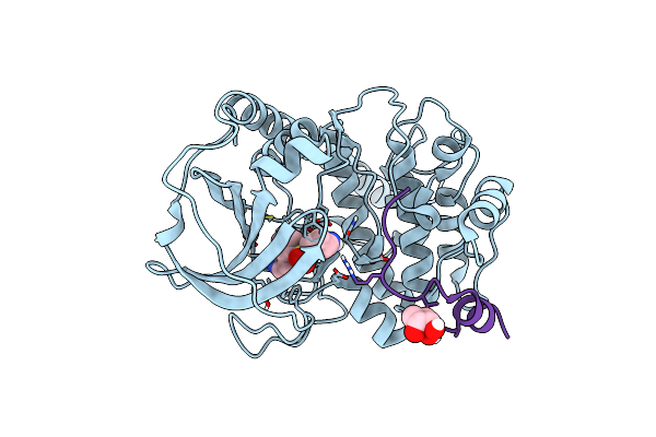 6I2A image