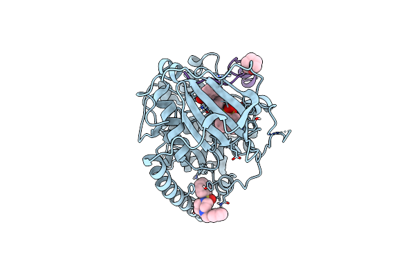 6I2B image