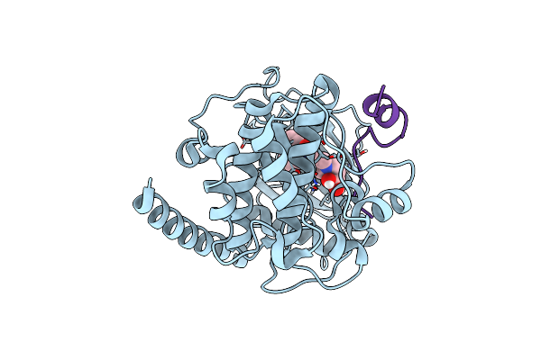 6I2D image
