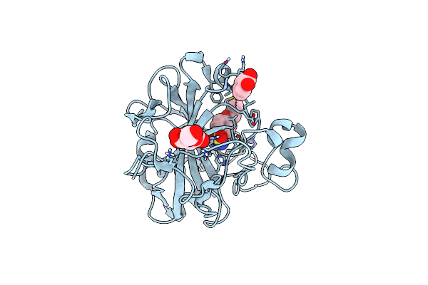 6I2F image