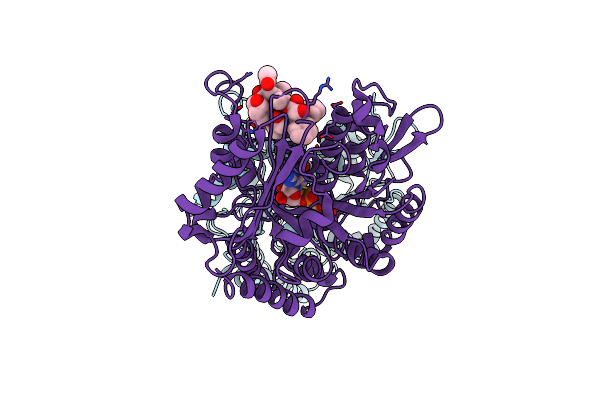 6I2I image