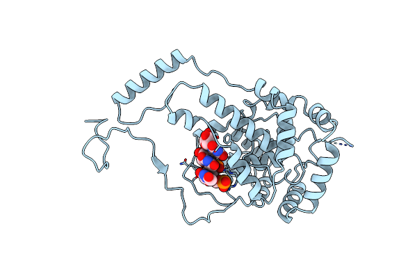 6I2N image