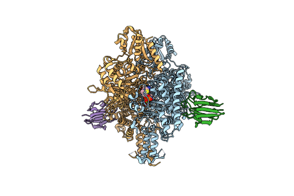 6I2R image
