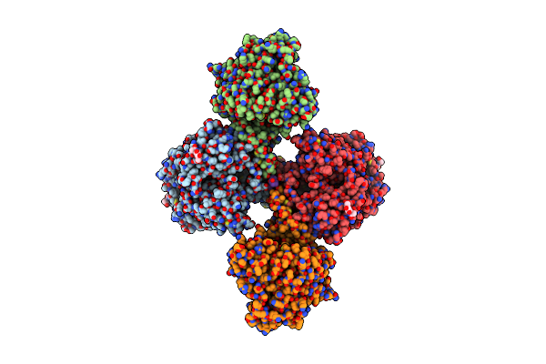 6I2T image
