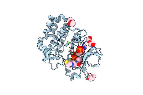 6I2U image