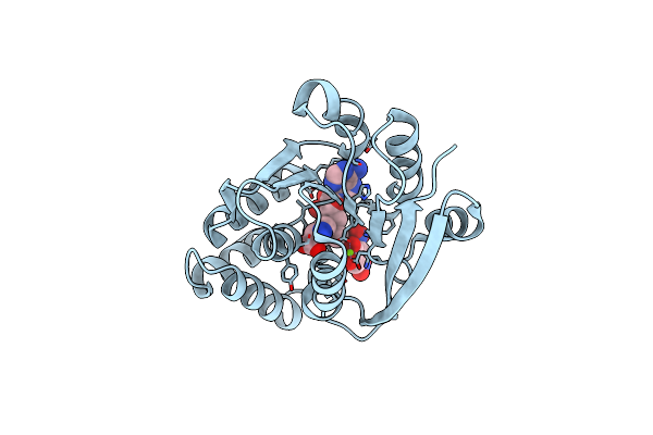 6I3C image