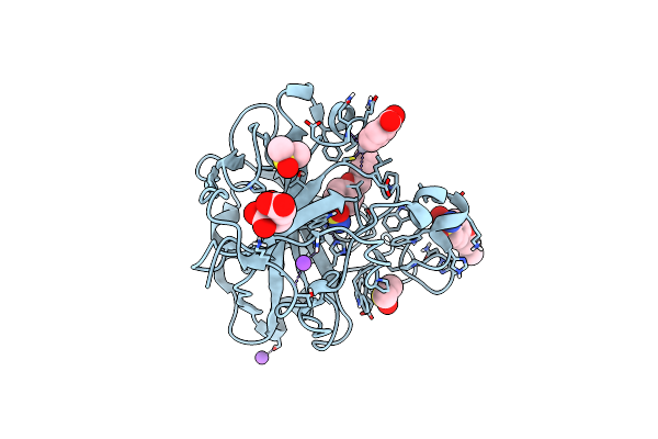 6I3E image