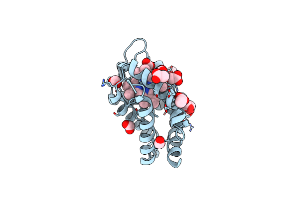 6I3T image