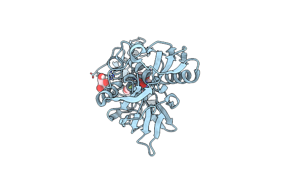 6I46 image