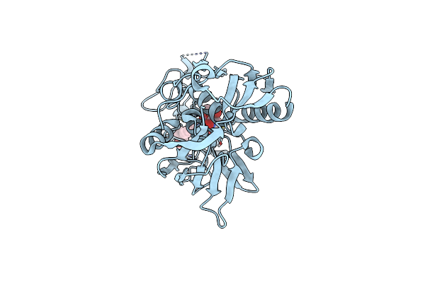 6I4A image