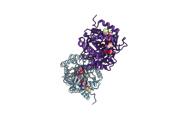 6I4B image