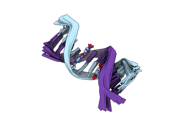 6I4O image