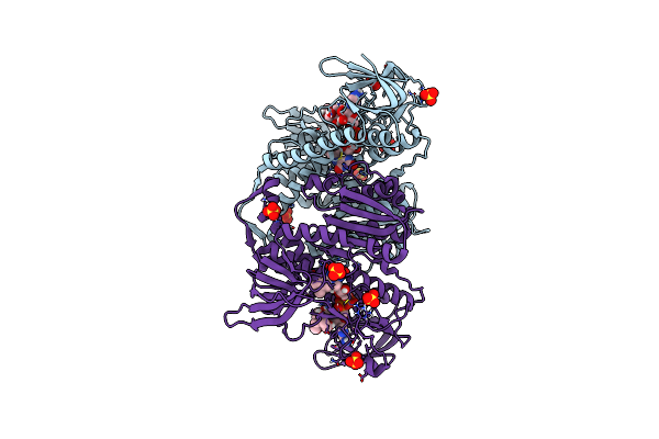 6I4P image