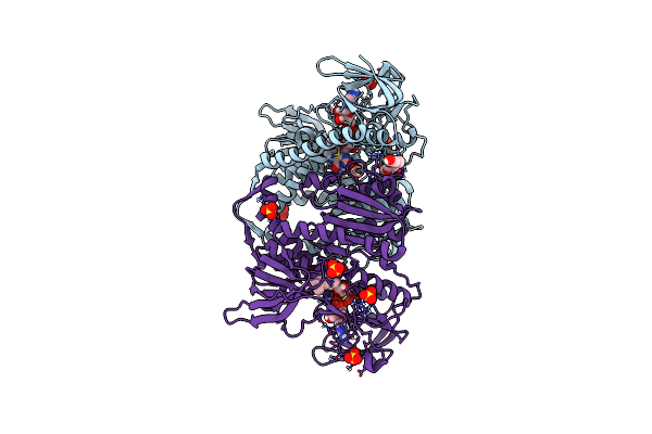 6I4T image