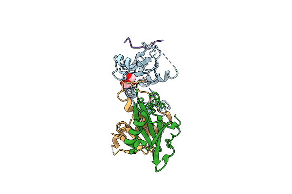 6I4X image