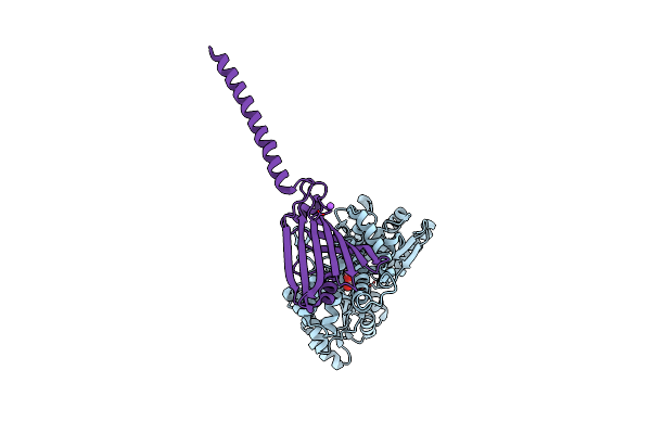 6I4Y image