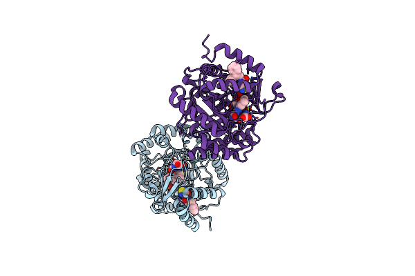 6I55 image