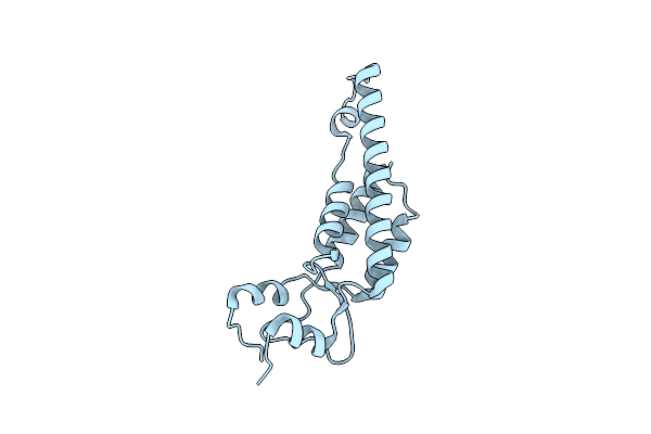 6I5A image
