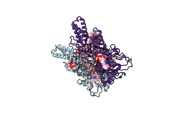 6I5B image
