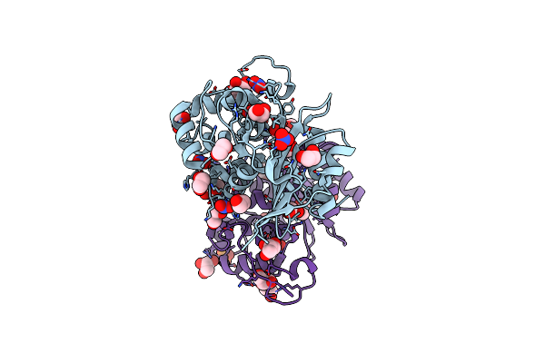 6I5D image