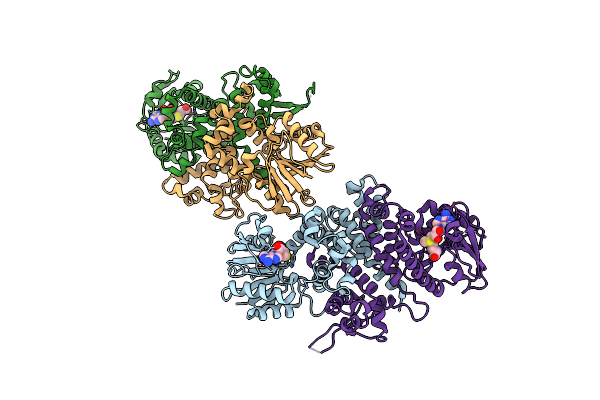 6I5Z image