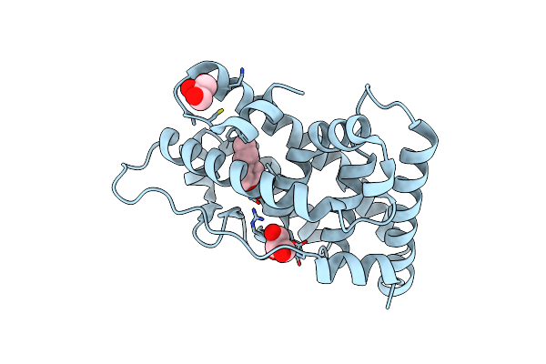 6I66 image