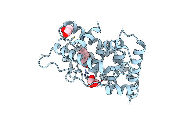 6I67 image