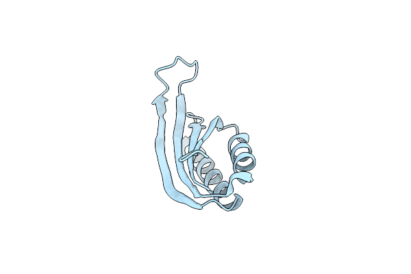 6I6E image