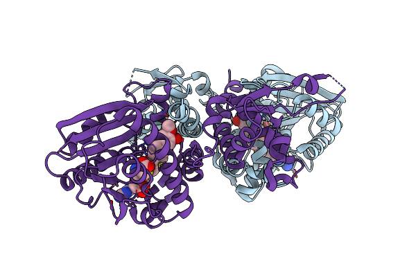6I6L image