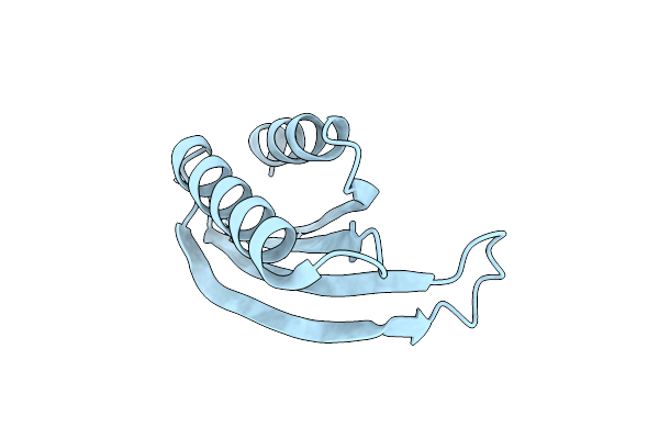 6I6Y image
